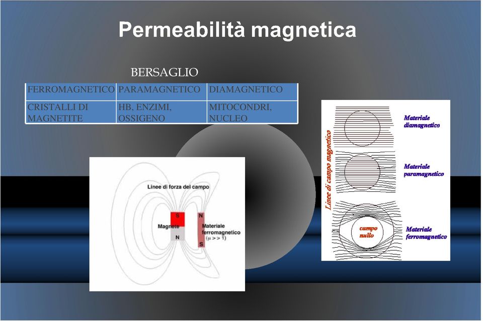 CRISTALLI DI MAGNETITE HB,