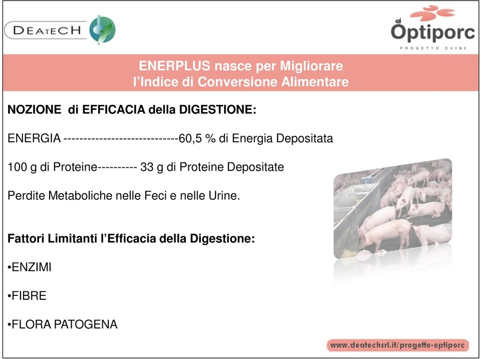 100 g di Proteine---------- 33 g di Proteine Depositate Perdite Metaboliche nelle Feci