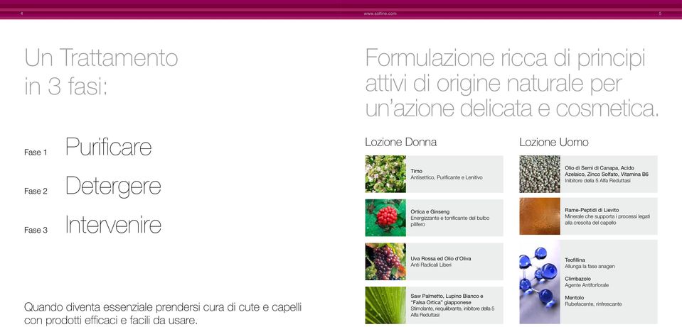 Reduttasi Fase 3 Intervenire Ortica e Ginseng Energizzante e tonificante del bulbo pilifero Rame-Peptidi di Lievito Minerale che supporta i processi legati alla crescita del capello Uva Rossa ed Olio