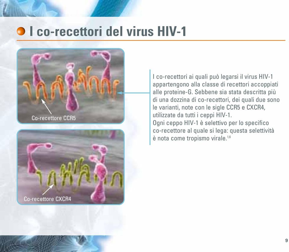 Sebbene sia stata descritta più di una dozzina di co-recettori, dei quali due sono le varianti, note con le sigle CCR5