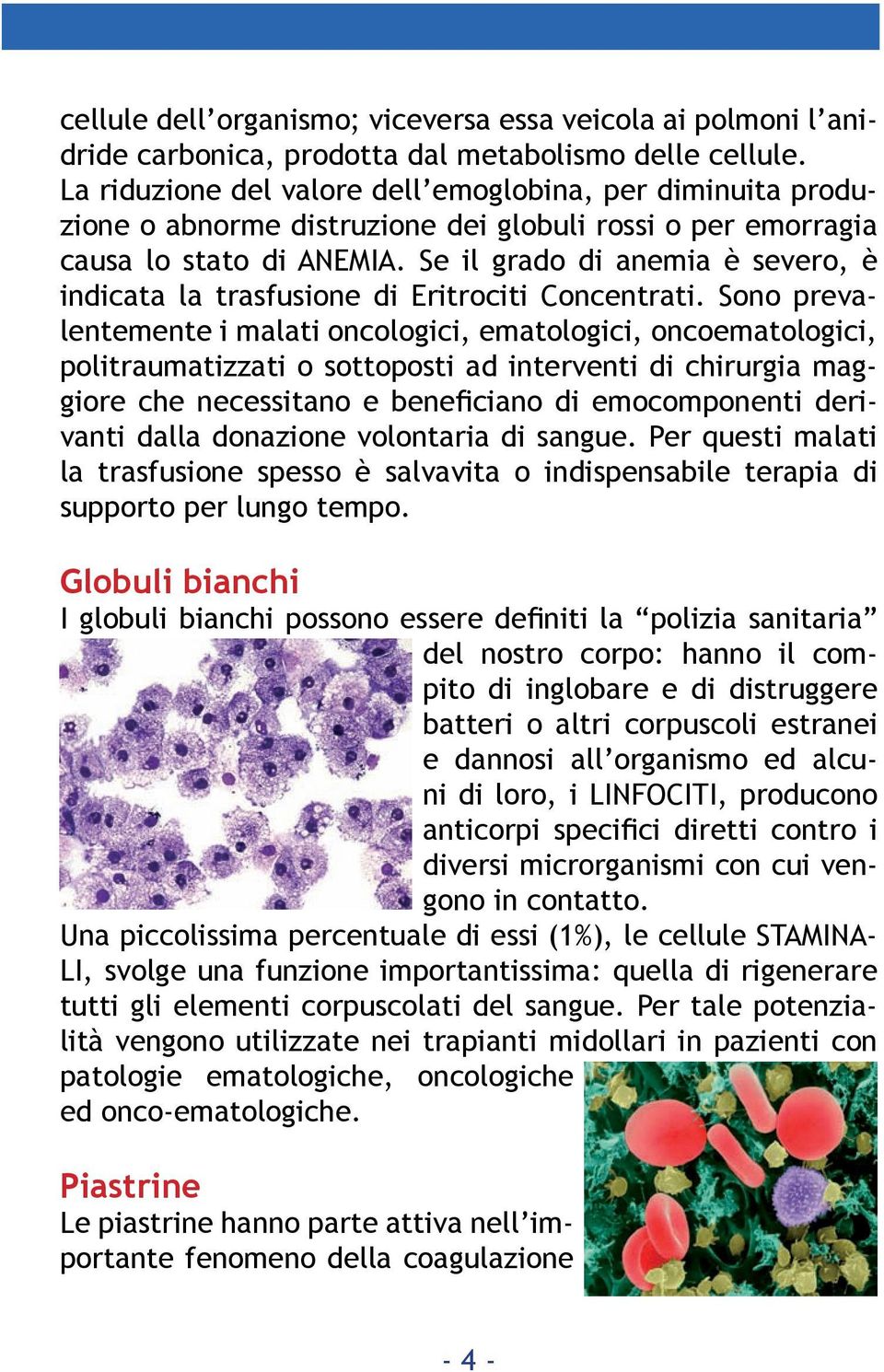 Se il grado di anemia è severo, è indicata la trasfusione di Eritrociti Concentrati.