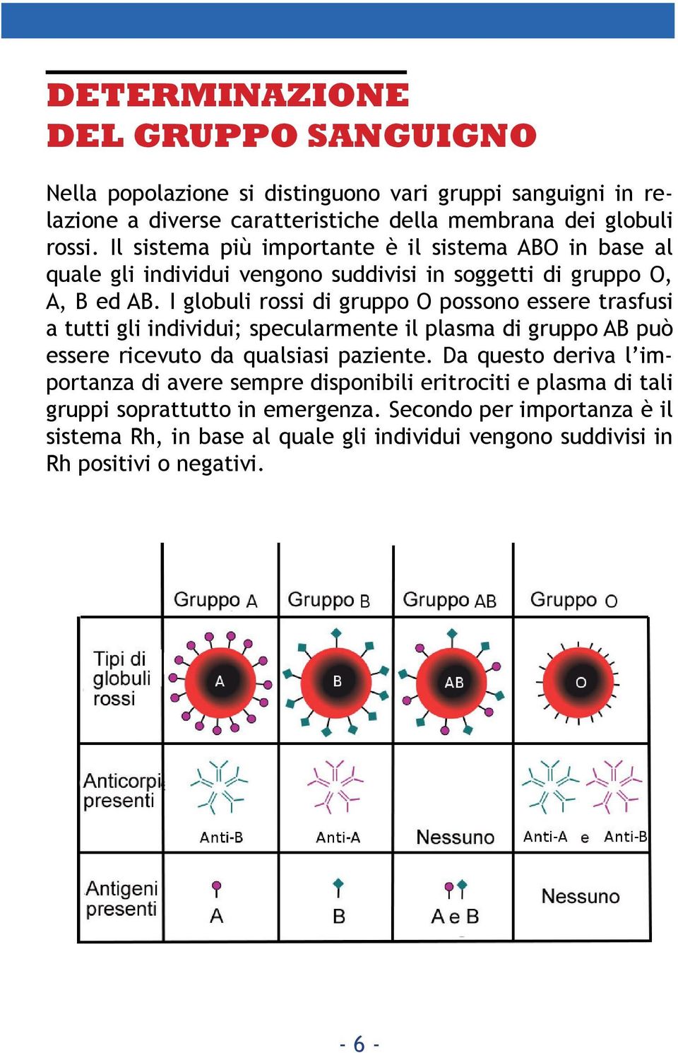 I globuli rossi di gruppo O possono essere trasfusi a tutti gli individui; specularmente il plasma di gruppo AB può essere ricevuto da qualsiasi paziente.
