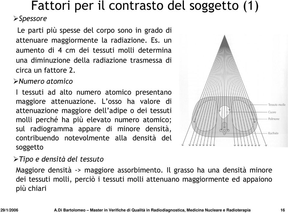 L osso ha valore di attenuazione maggiore dell adipe o dei tessuti molli perché ha più elevato numero atomico; sul radiogramma appare di minore densità, contribuendo notevolmente alla densità del