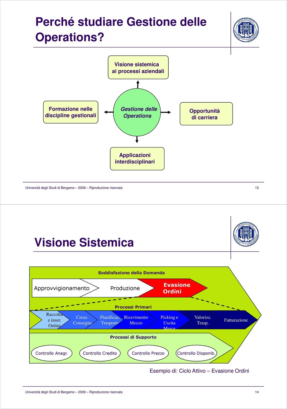 Studi di Bergamo 2009 Riproduzione riservata 13 Visione Sistemica Soddisfazione della Domanda Approvvigionamento Produzione Evasione Ordini Processi Primari Raccolta e inser.