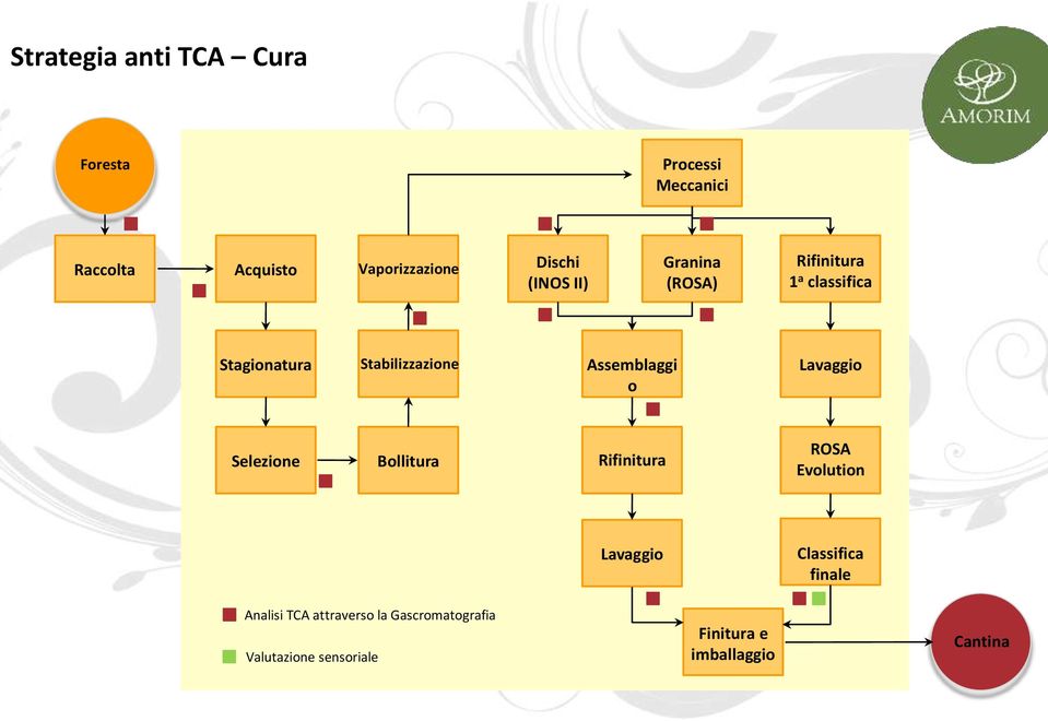 Stabilizzazione Assemblaggi o Selezione Bollitura ROSA Evolution Classifica