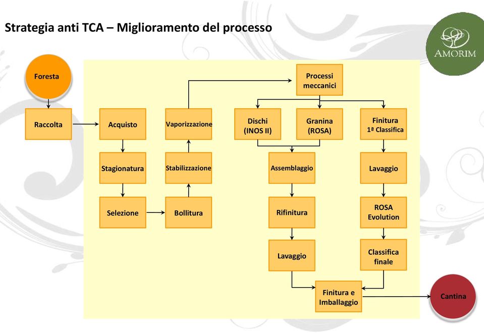 (ROSA) Finitura 1ª Classifica Stagionatura Stabilizzazione Assemblaggio