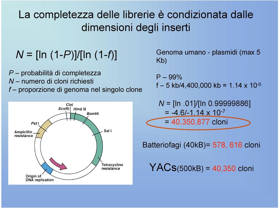 Genoma umano - plasmidi (max 5 Kb) P 99% f 5 kb/4,400,000 kb = 1.14 x 10-6 N = [ln.01]/[ln 0.