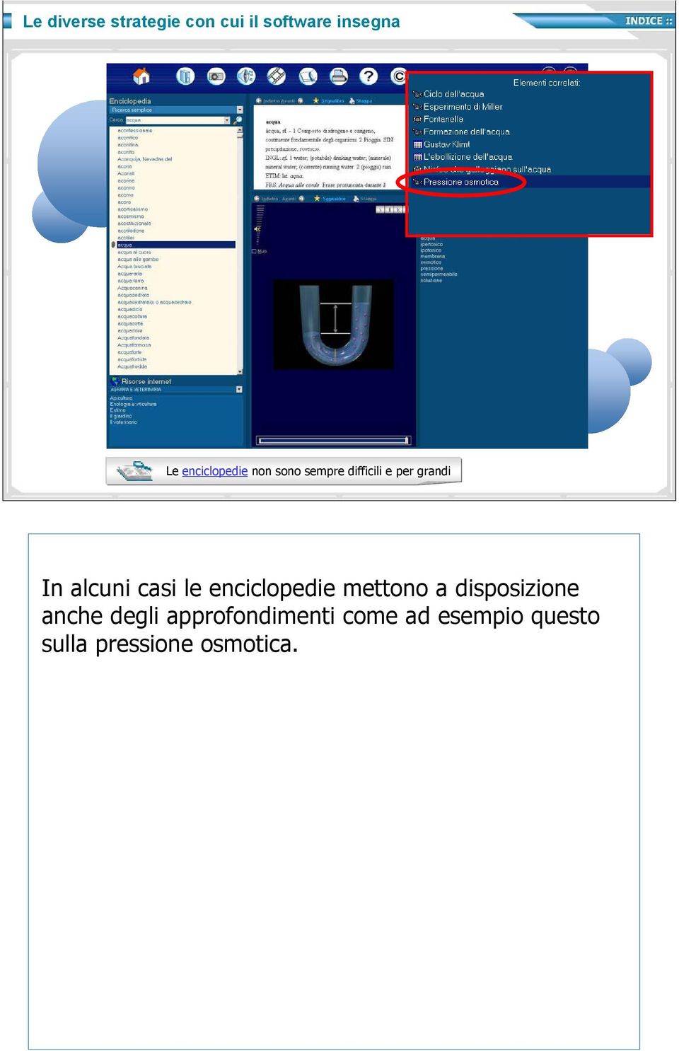 alcuni casi le enciclopedie mettono a disposizione anche