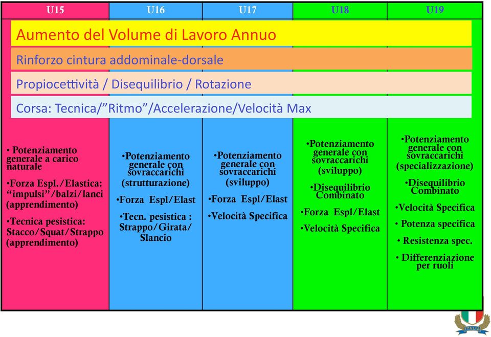 /Elastica: impulsi /balzi/lanci (apprendimento) Tecnica pesistica: Stacco/Squat/Strappo (apprendimento) Potenziamento generale con sovraccarichi (strutturazione) Forza Espl/Elast Tecn.