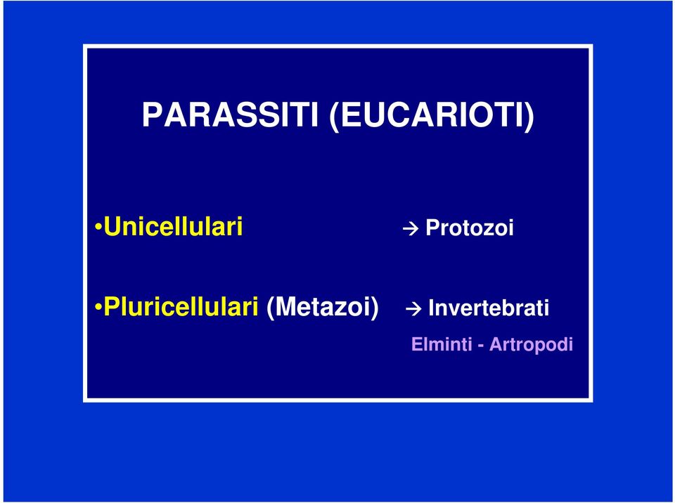 Pluricellulari (Metazoi)