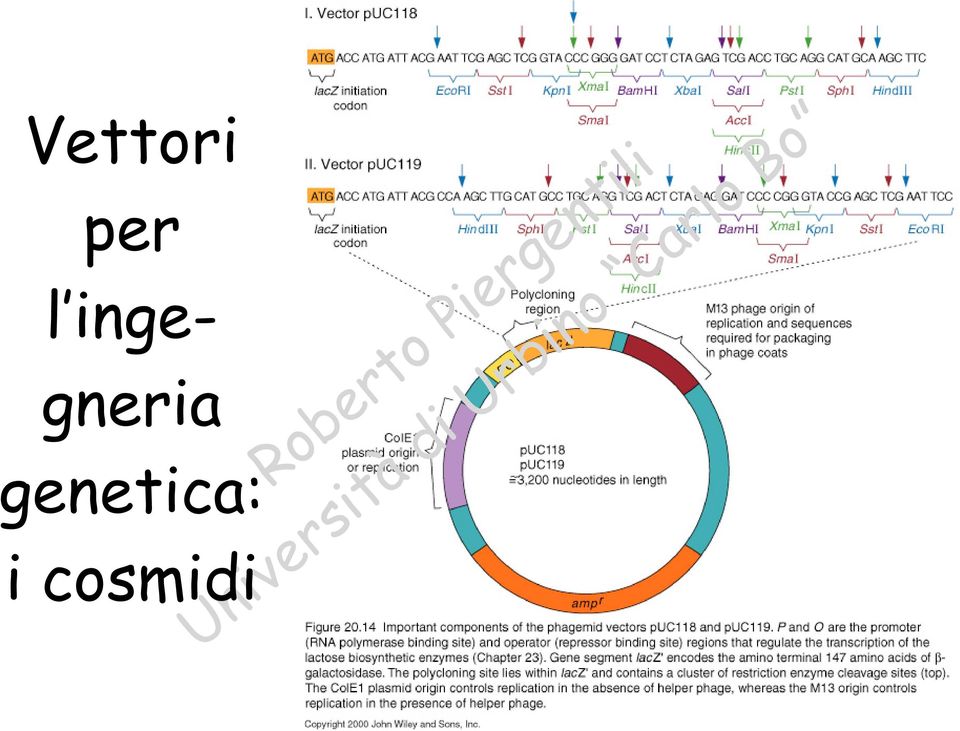 ingegneria