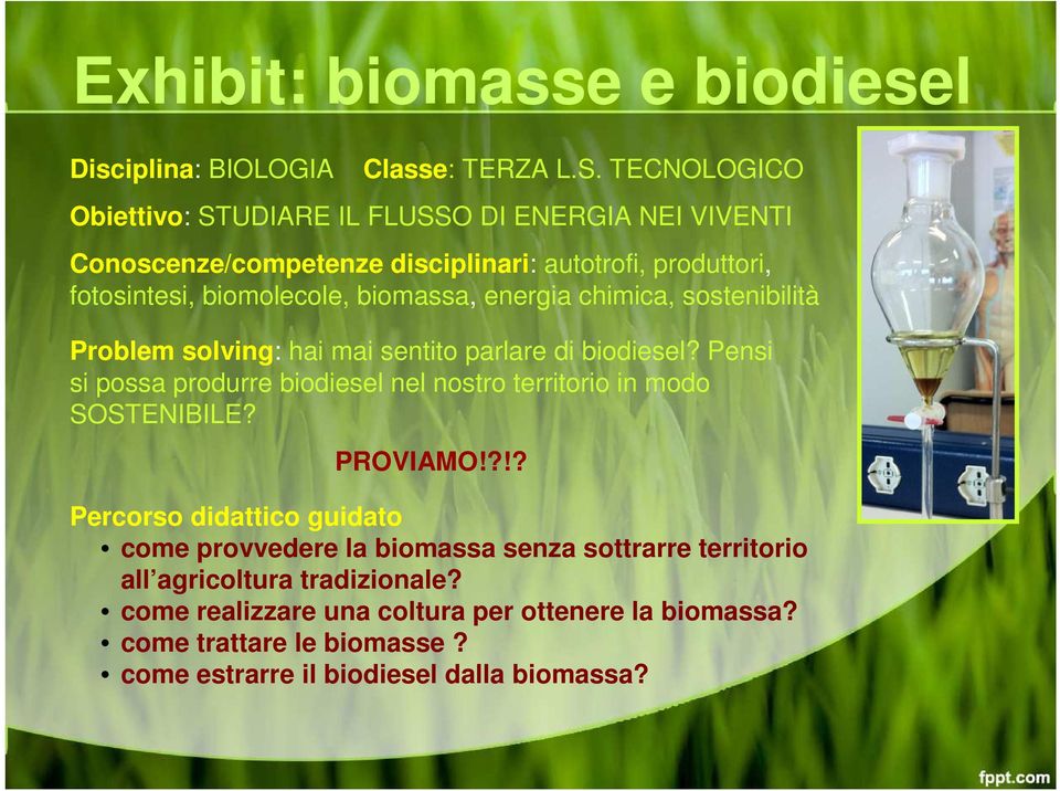 energia chimica, sostenibilità Problem solving: hai mai sentito parlare di biodiesel?