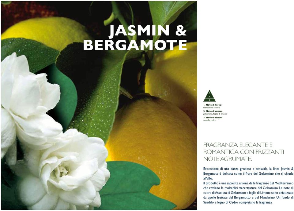 Evocazione di una danza graziosa e sensuale, la linea Jasmin & Bergamote è delicata come il fiore del Gelsomino che si chiude all'alba.