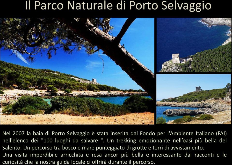 Un percorso tra bosco e mare punteggiato di grotte e torri di avvistamento.