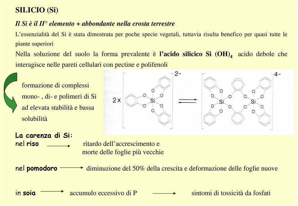 pectine e polifenoli formazione di complessi mono-, di- e polimeri di Si ad elevata stabilità e bassa solubilità La carenza di Si: nel riso nel pomodoro ritardo dell