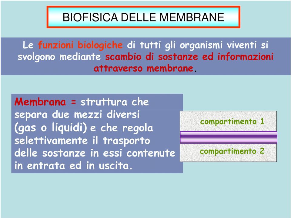 Membrana = struttura che separa due mezzi diversi (gas o liquidi) e che regola