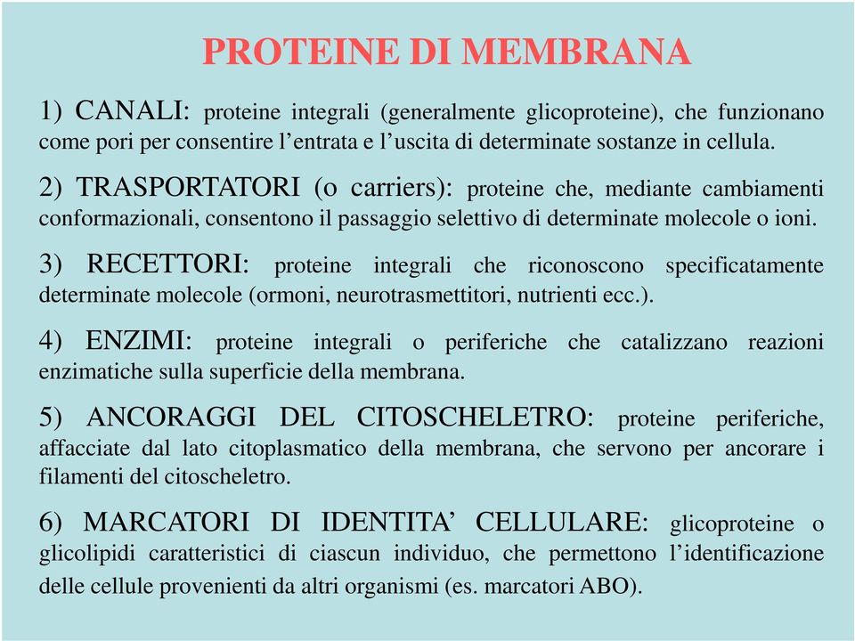 3) RECETTORI: proteine integrali che riconoscono specificatamente determinate molecole (ormoni, neurotrasmettitori, nutrienti ecc.). 4) ENZIMI: proteine integrali o periferiche che catalizzano reazioni enzimatiche sulla superficie della membrana.