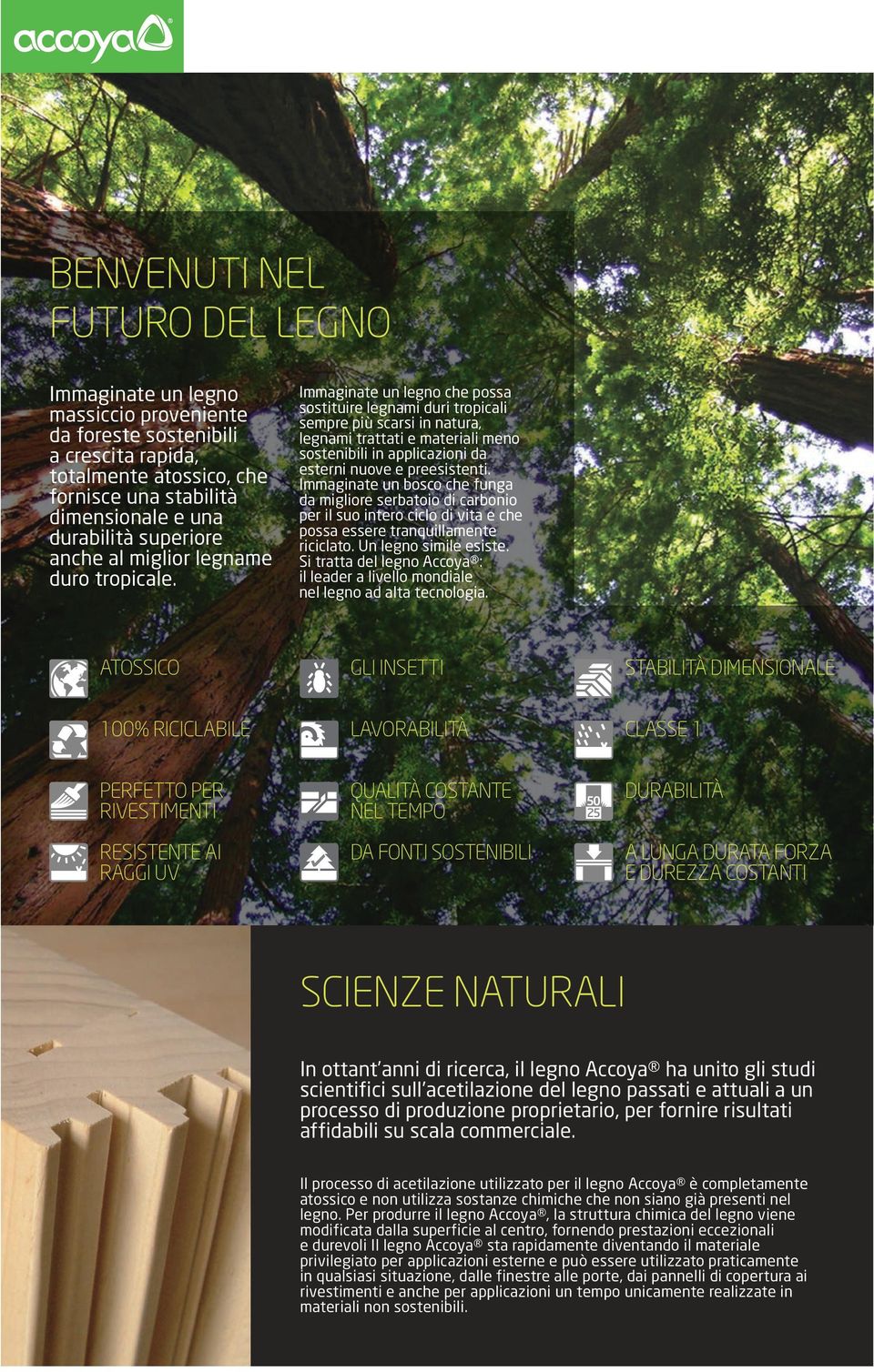 Immaginate un legno che possa sostituire legnami duri tropicali sempre più scarsi in natura, legnami trattati e materiali meno sostenibili in applicazioni da esterni nuove e preesistenti.