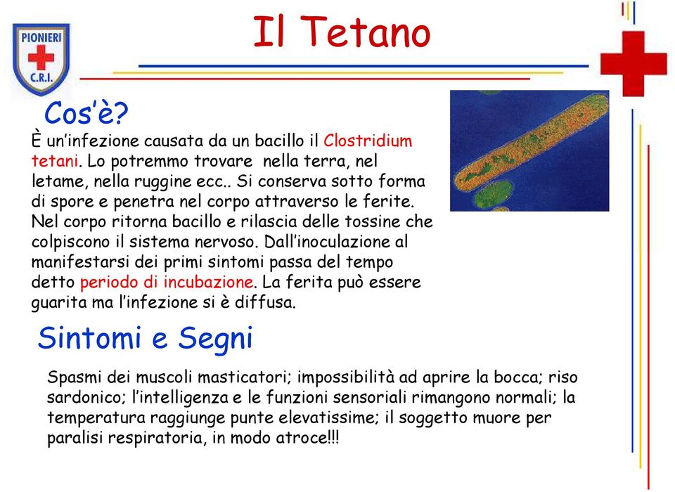 Dall inoculazione al manifestarsi dei primi sintomi passa del tempo detto periodo di incubazione. La ferita può essere guarita ma l infezione si è diffusa.