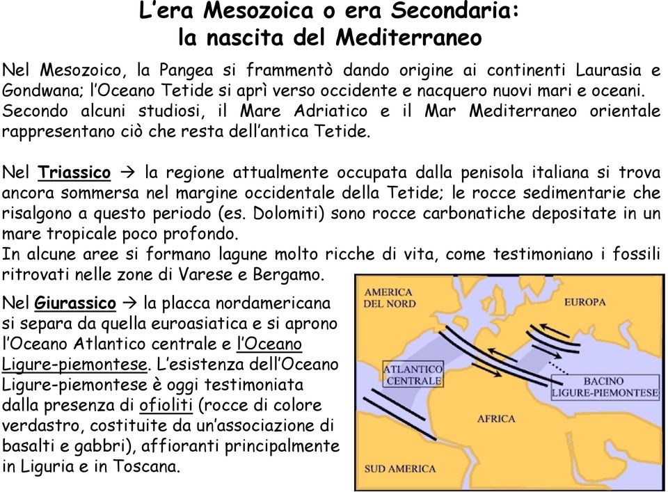 Nel Triassico la regione attualmente occupata dalla penisola italiana si trova ancora sommersa nel margine occidentale della Tetide; le rocce sedimentarie che risalgono a questo periodo (es.