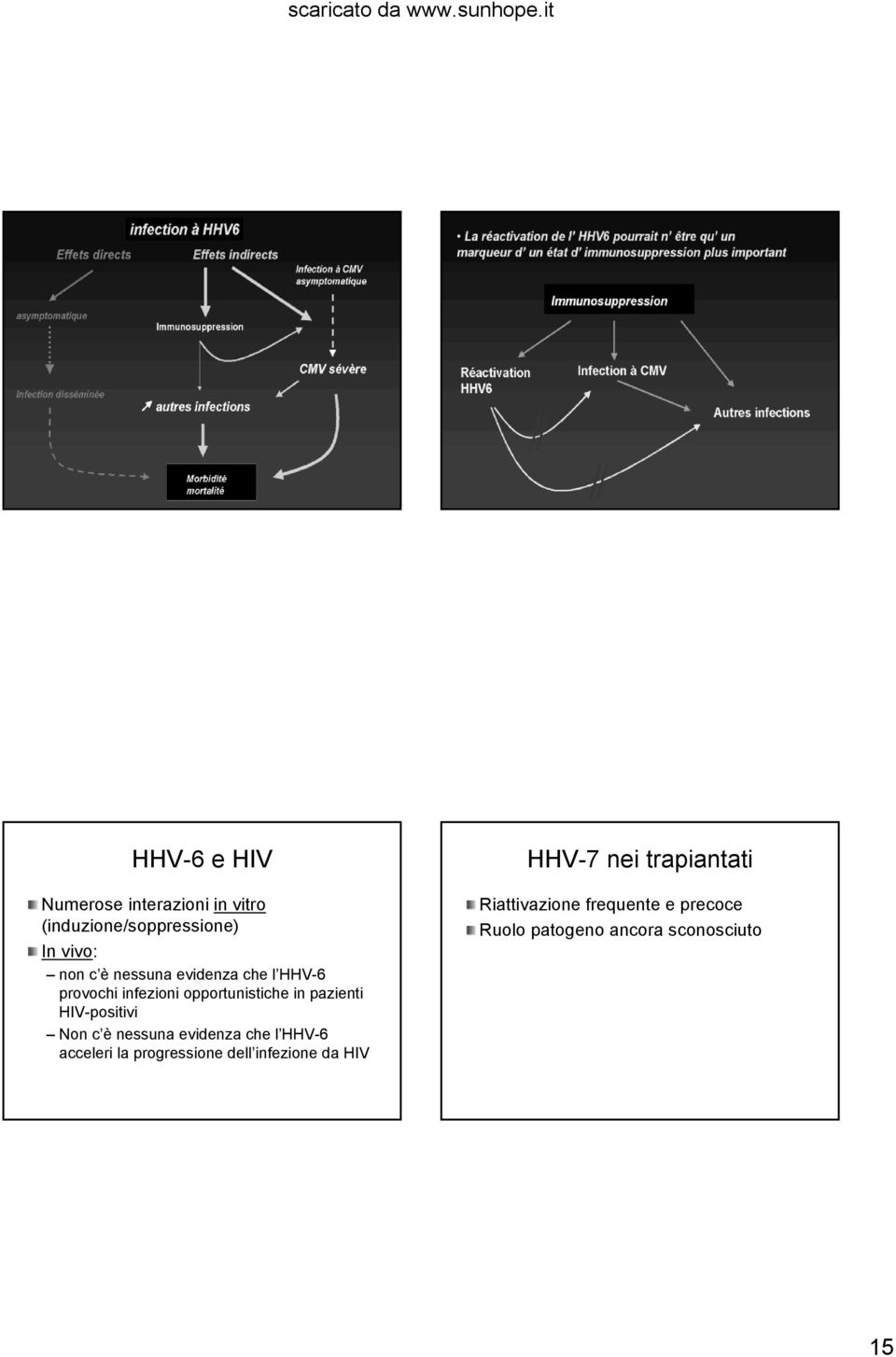 HIV-positivi Non c è nessuna evidenza che l HHV-6 acceleri la progressione dell