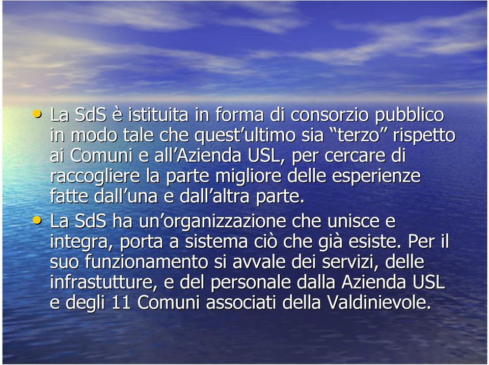 La SdS ha un organizzazione che unisce e integra, porta a sistema ciò che già esiste.