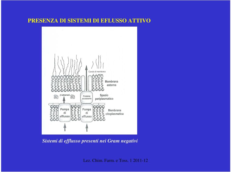 Sistemi di efflusso