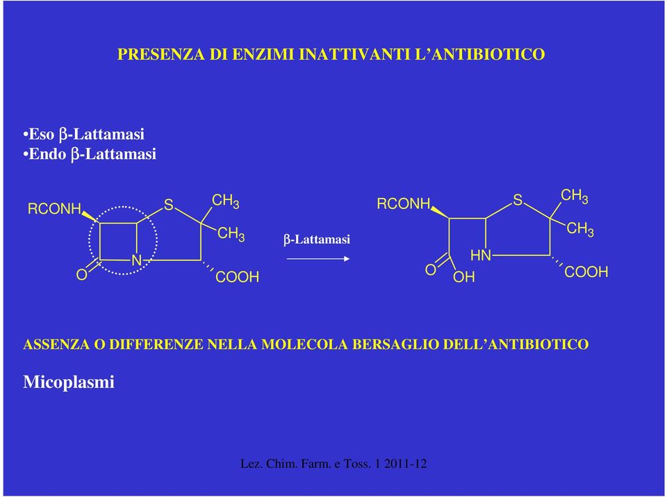 3 N C 3 C β-lattamasi N C 3 C ASSENZA
