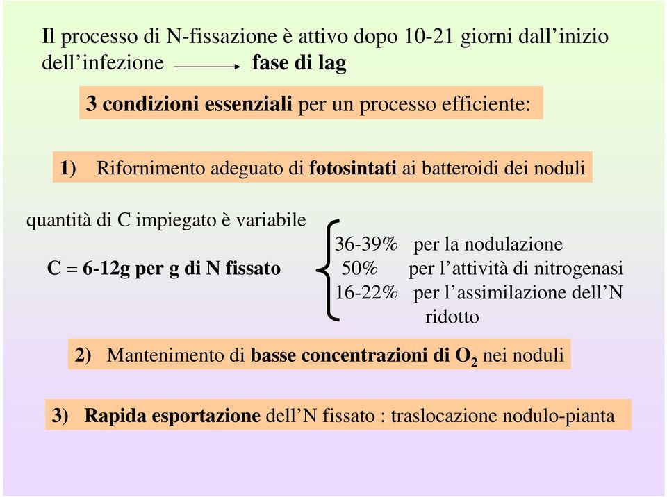 6-12g per g di N fissato 36-39% per la nodulazione 50% per l attività di nitrogenasi 16-22% per l assimilazione dell N