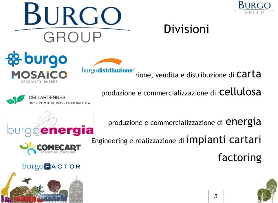 cellulosa produzione e commercializzazione di