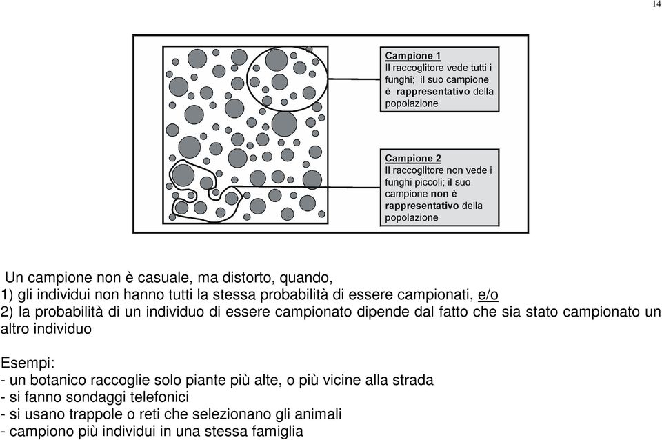 un altro individuo Esempi: - un botanico raccoglie solo piante più alte, o più vicine alla strada - si fanno