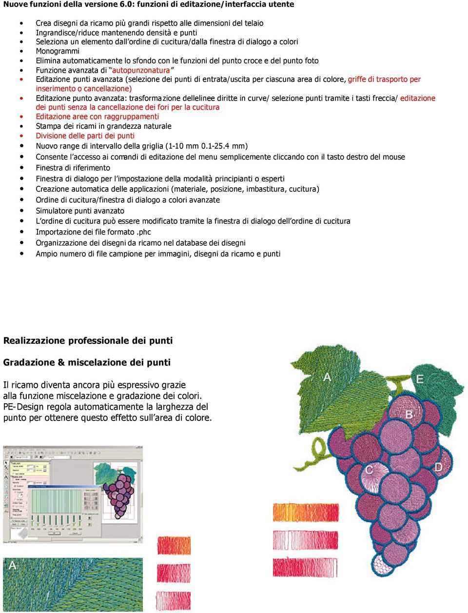 cucitura/dalla finestra di dialogo a colori Monogrammi Elimina automaticamente lo sfondo con le funzioni del punto croce e del punto foto Funzione avanzata di autopunzonatura Editazione punti