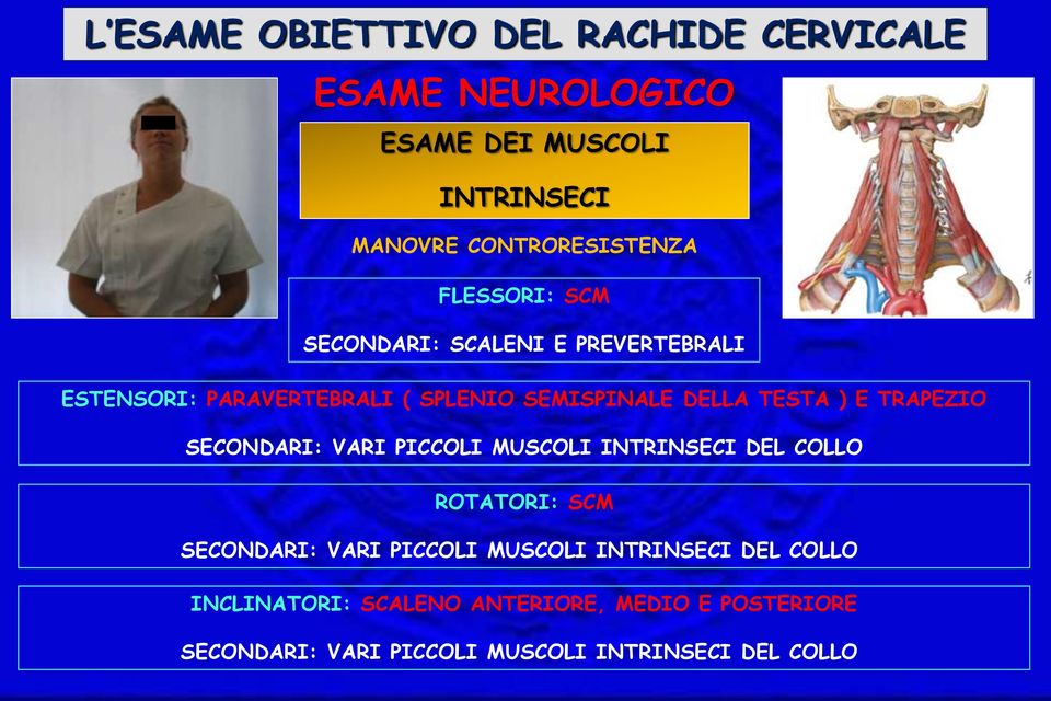 PICCOLI MUSCOLI INTRINSECI DEL COLLO ROTATORI: SCM SECONDARI: VARI PICCOLI MUSCOLI INTRINSECI DEL COLLO