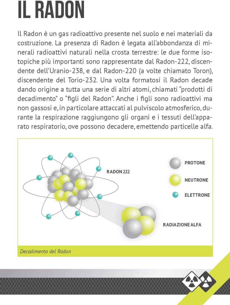 Uranio-238, e dal Radon-220 (a volte chiamato Toron), discendente del Torio-232.