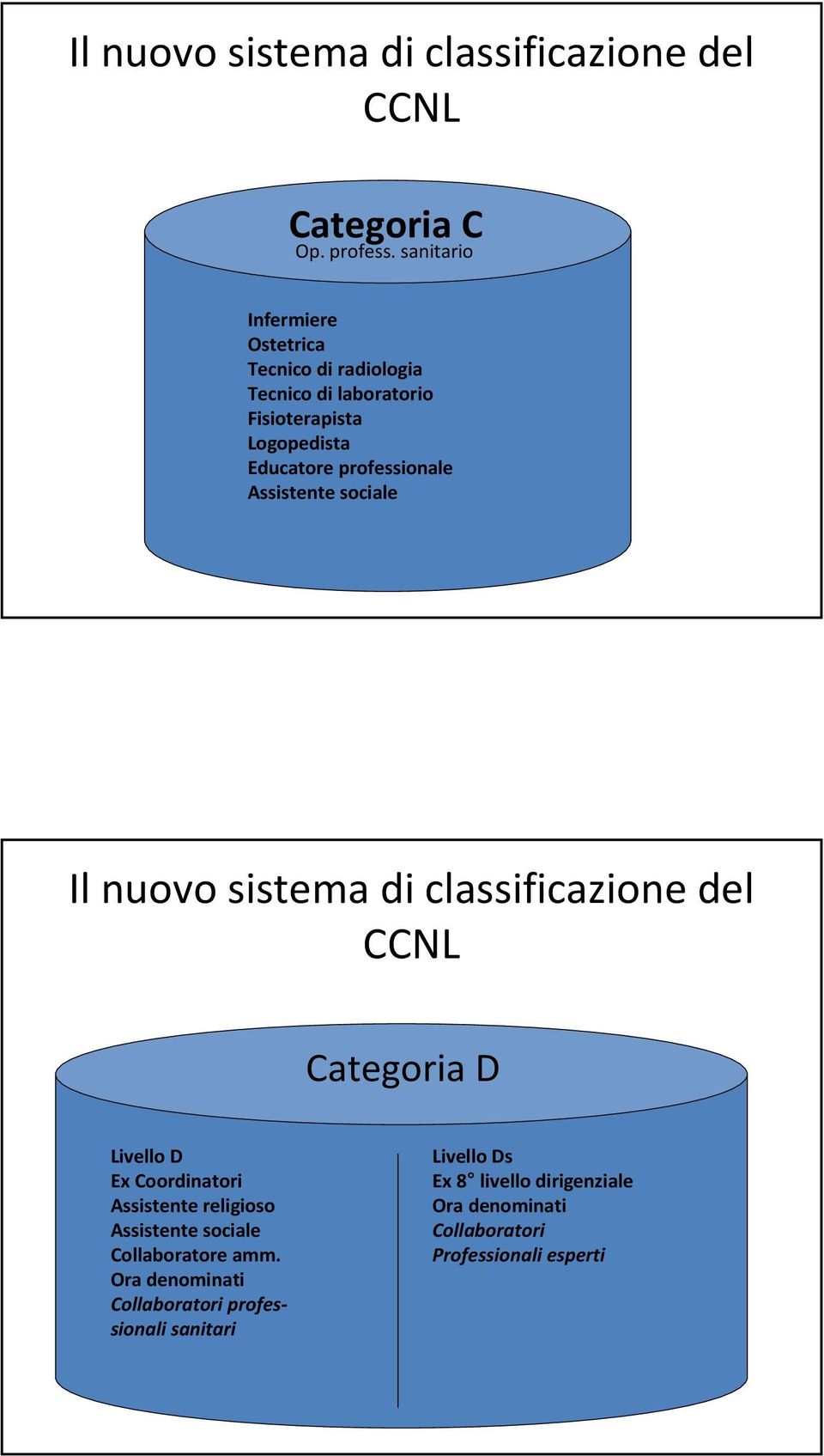 professionale Assistente sociale Il nuovo sistema di classificazione del CCNL Categoria D Livello D Ex Coordinatori