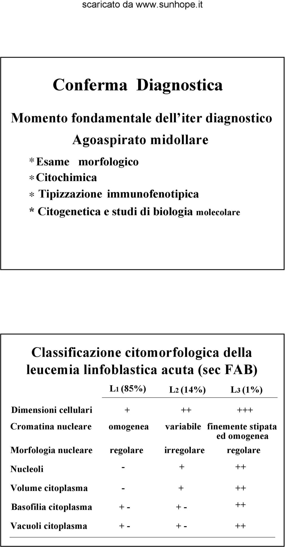 FAB) L1 (85%) L2 (14%) L3 (1%) Dimensioni cellulari Cromatina nucleare Morfologia nucleare Nucleoli + ++ +++ omogenea variabile finemente