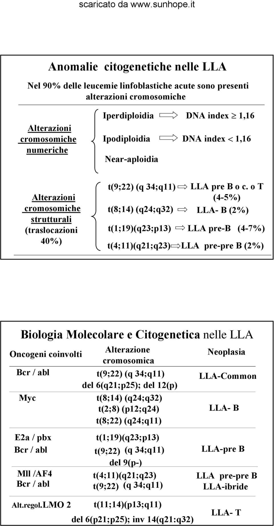 o T (4-5%) LLA- B (2%) LLA pre-b (4-7%) LLA pre-pre B (2%) Biologia Molecolare e Citogenetica nelle LLA Oncogeni coinvolti Bcr / abl Myc E2a / pbx Bcr / abl Mll /AF4 Bcr / abl Alterazione cromosomica