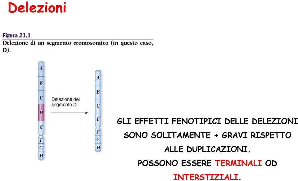 GRAVI RISPETTO ALLE DUPLICAZIONI.