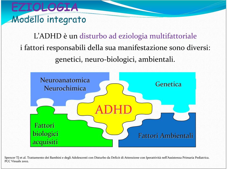 Neuroanatomica Neurochimica Genetica Fattori biologici acquisiti ADHD Fattori Ambientali Spencer TJ et al.