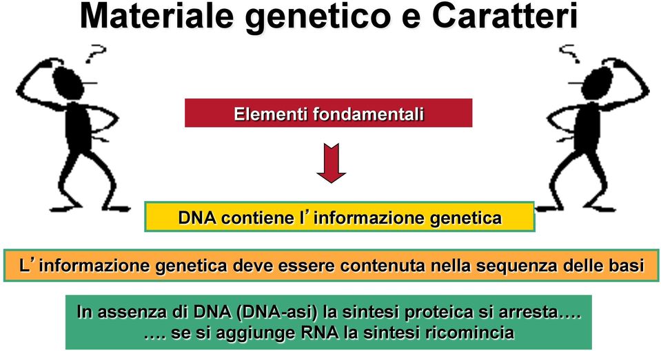 contenuta nella sequenza delle basi In assenza di DNA (DNA-asi)