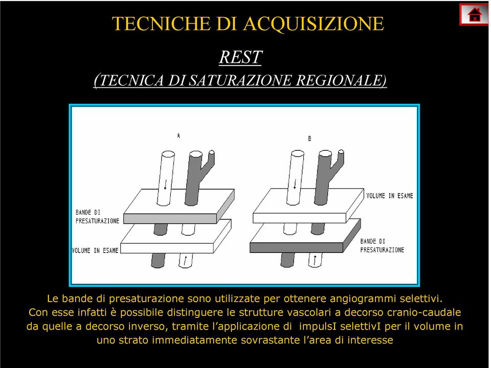 Con esse infatti è possibile distinguere le strutture vascolari a decorso cranio-caudale da