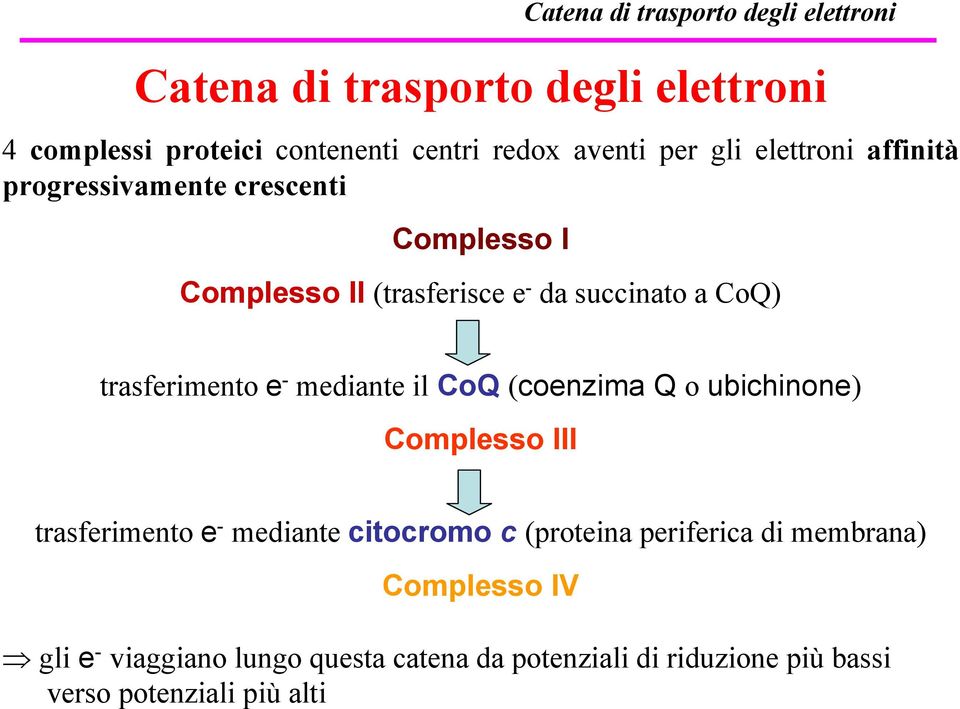 Q o ubichinone) Complesso III trasferimento e - mediante citocromo c (proteina periferica di membrana)