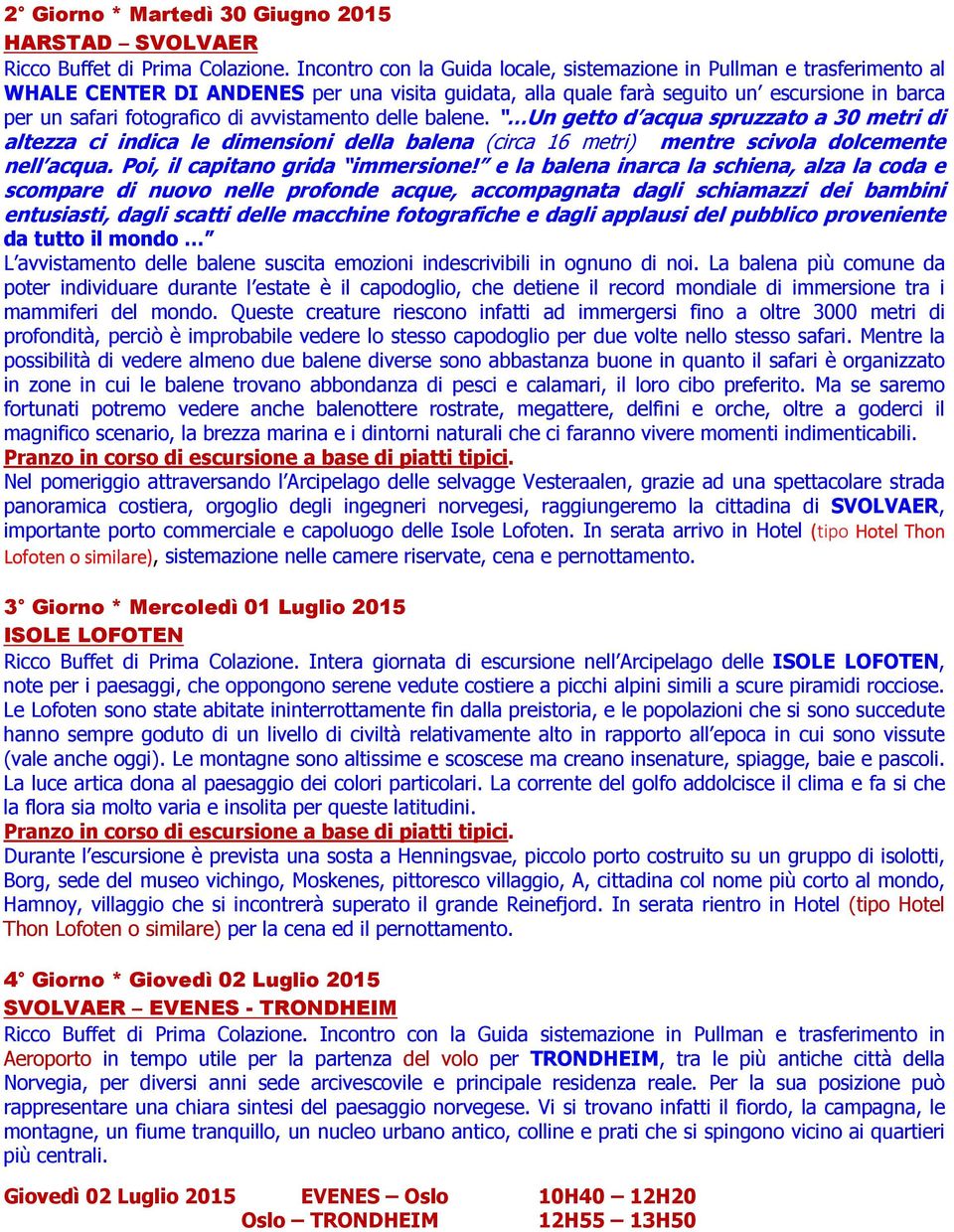 avvistamento delle balene. Un getto d acqua spruzzato a 30 metri di altezza ci indica le dimensioni della balena (circa 16 metri) mentre scivola dolcemente nell acqua.