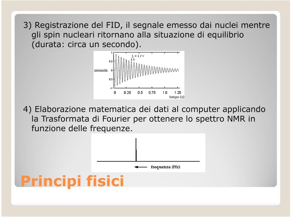 4) Elaborazione matematica dei dati al computer applicando la Trasformata di