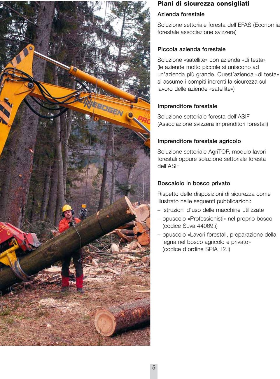 Quest azienda «di testa» si assume i compiti inerenti la sicurezza sul lavoro delle aziende «satellite») Imprenditore forestale Soluzione settoriale foresta dell ASIF (Associazione svizzera