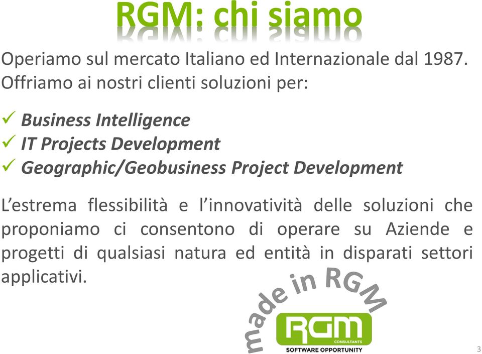 Geographic/Geobusiness Project Development L estrema flessibilità e l innovatività delle