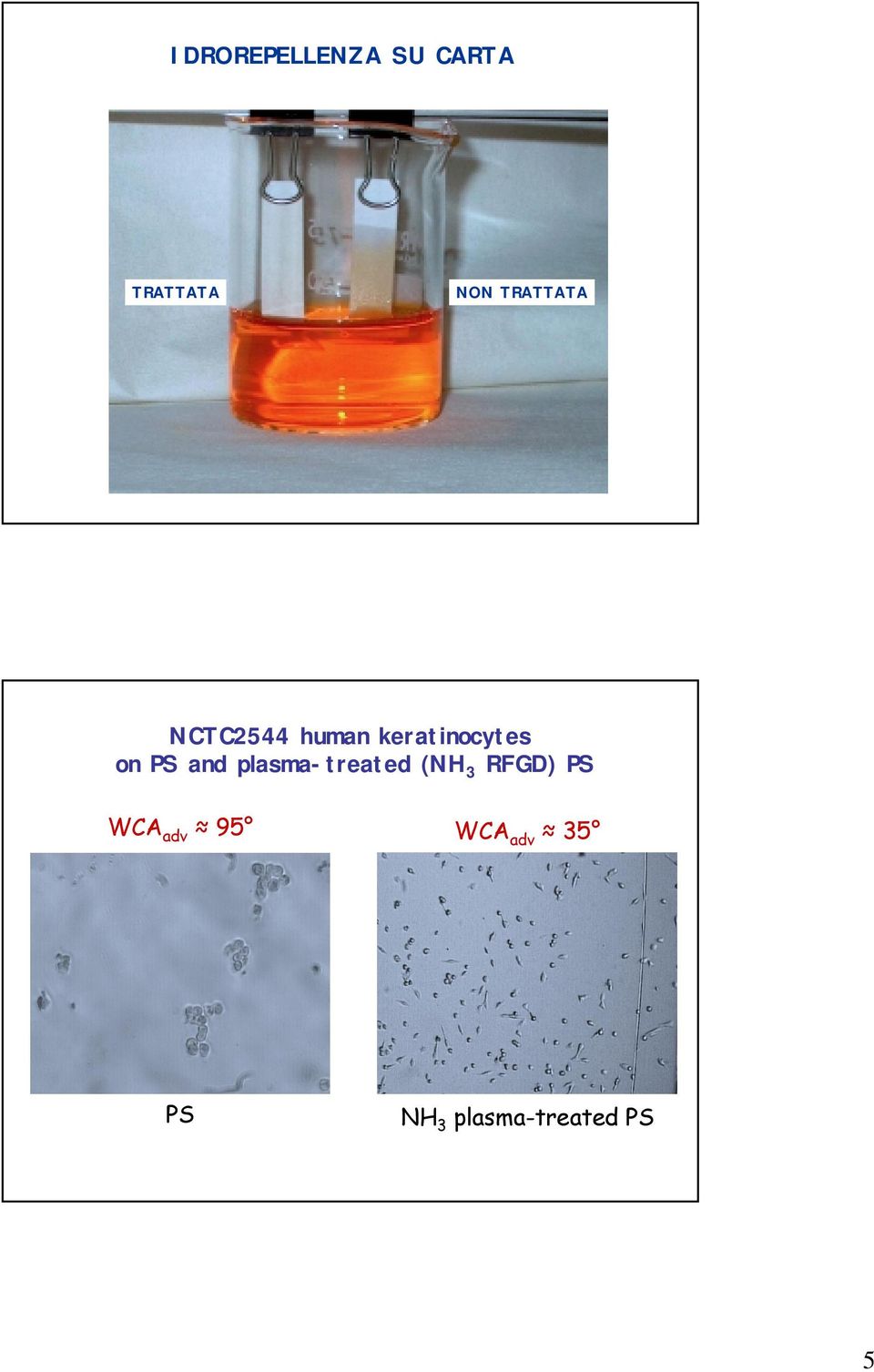 PS and plasma-treated (NH 3 RFGD) PS WCA