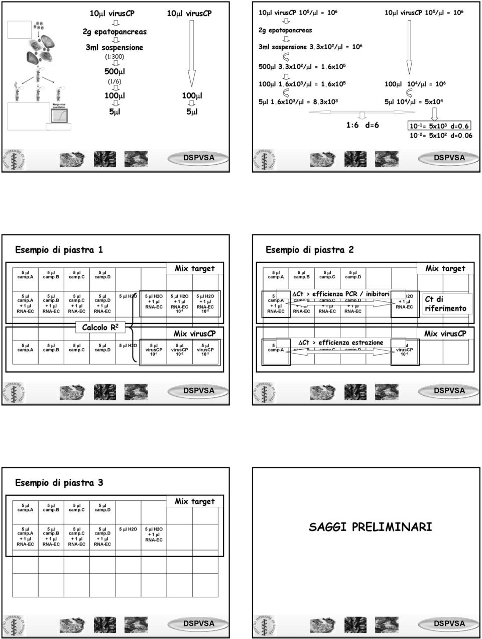 3x10 3 100µl 10 4 /µl = 10 6 5µl 10 4 /µl = 5x10 4 1:6 d=6 = 5x10 3 d=0.6 = 5x10 2 d=0.