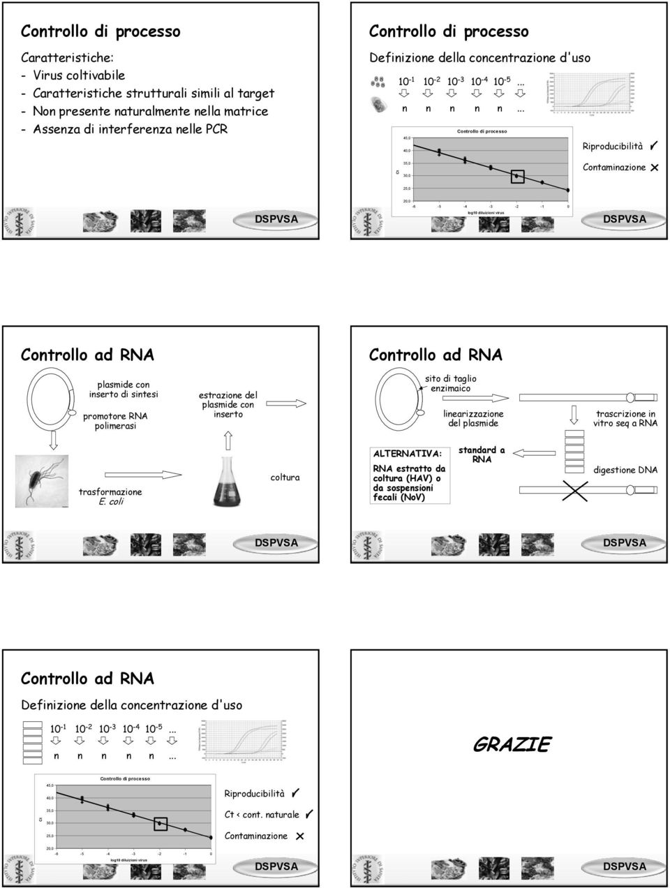 .. 45,0 40,0 Riproducibilità Ct 35,0 30,0 Contaminazione 25,0 20,0-6 -5-4 -3-2 -1 0 log10 diluizioni virus Controllo ad RNA Controllo ad RNA plasmide con inserto di sintesi promotore RNA polimerasi