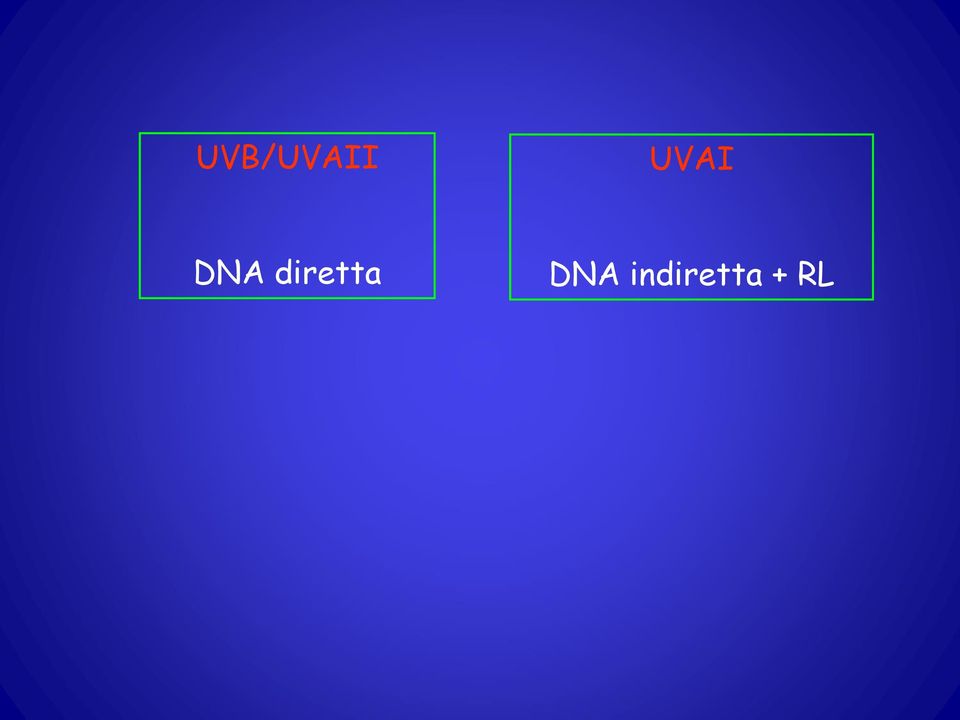 diretta DNA